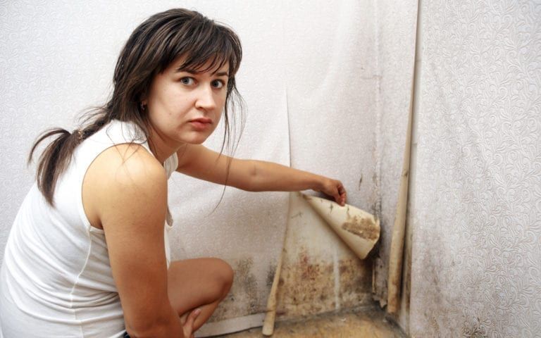 Woman peeling back wallpaper to reveal black mold