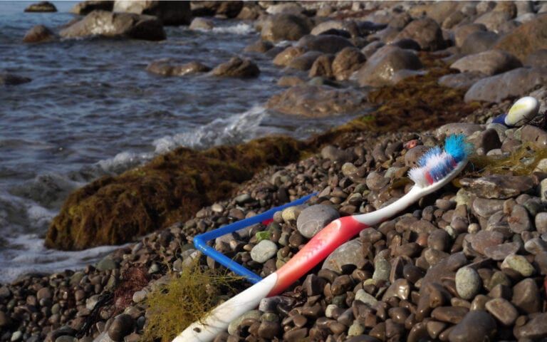 Picture of Toothbrush on Beach